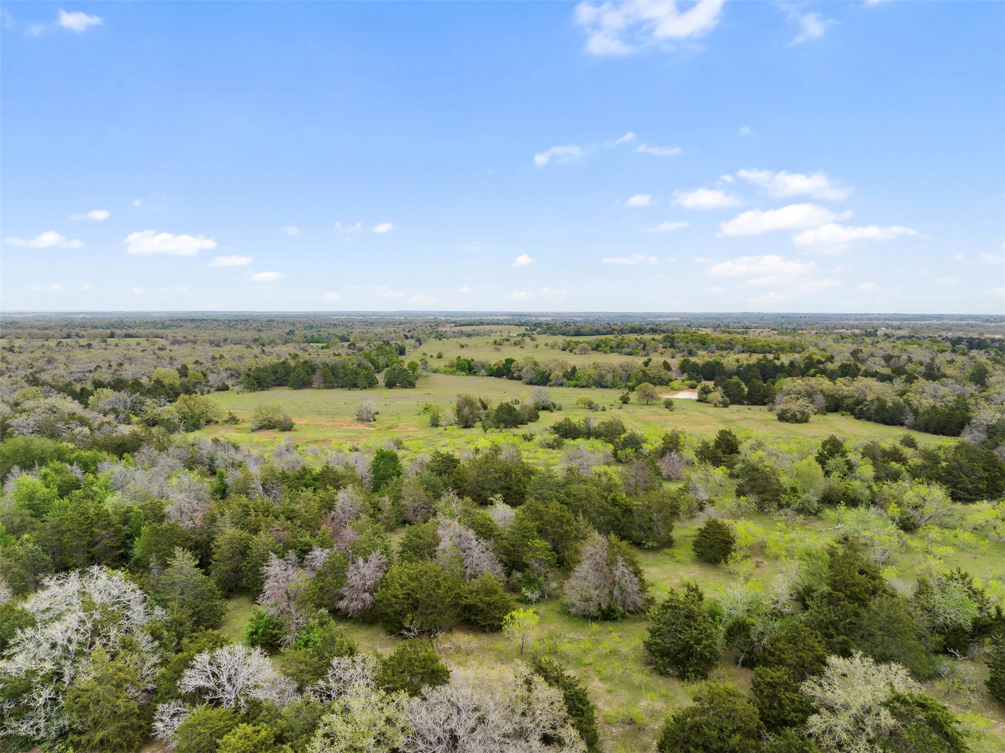 0 County Road 332 Paige, TX 78659 - Photo 12 of 25