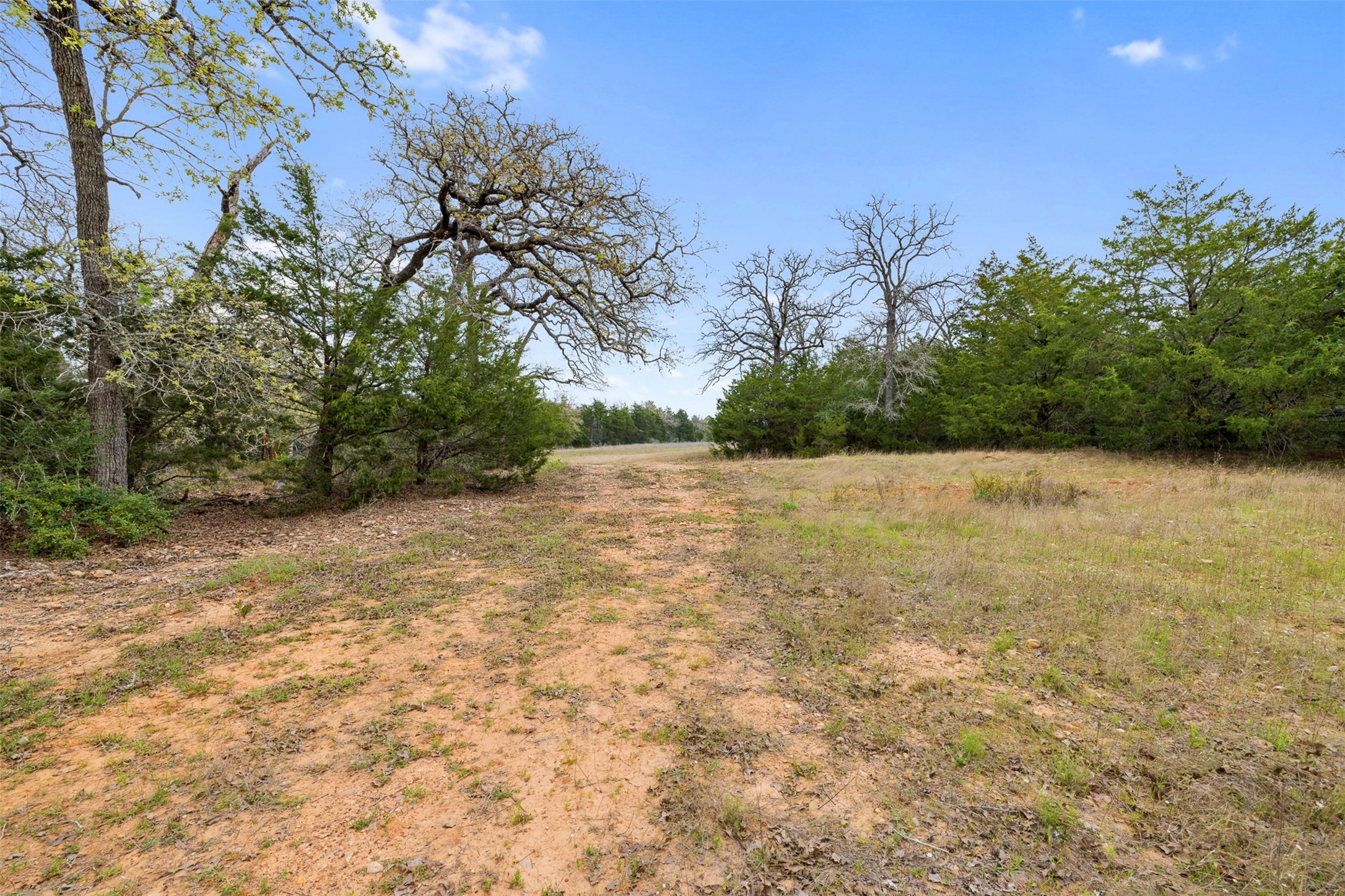 0 County Road 332 Paige, TX 78659 - Photo 17 of 25