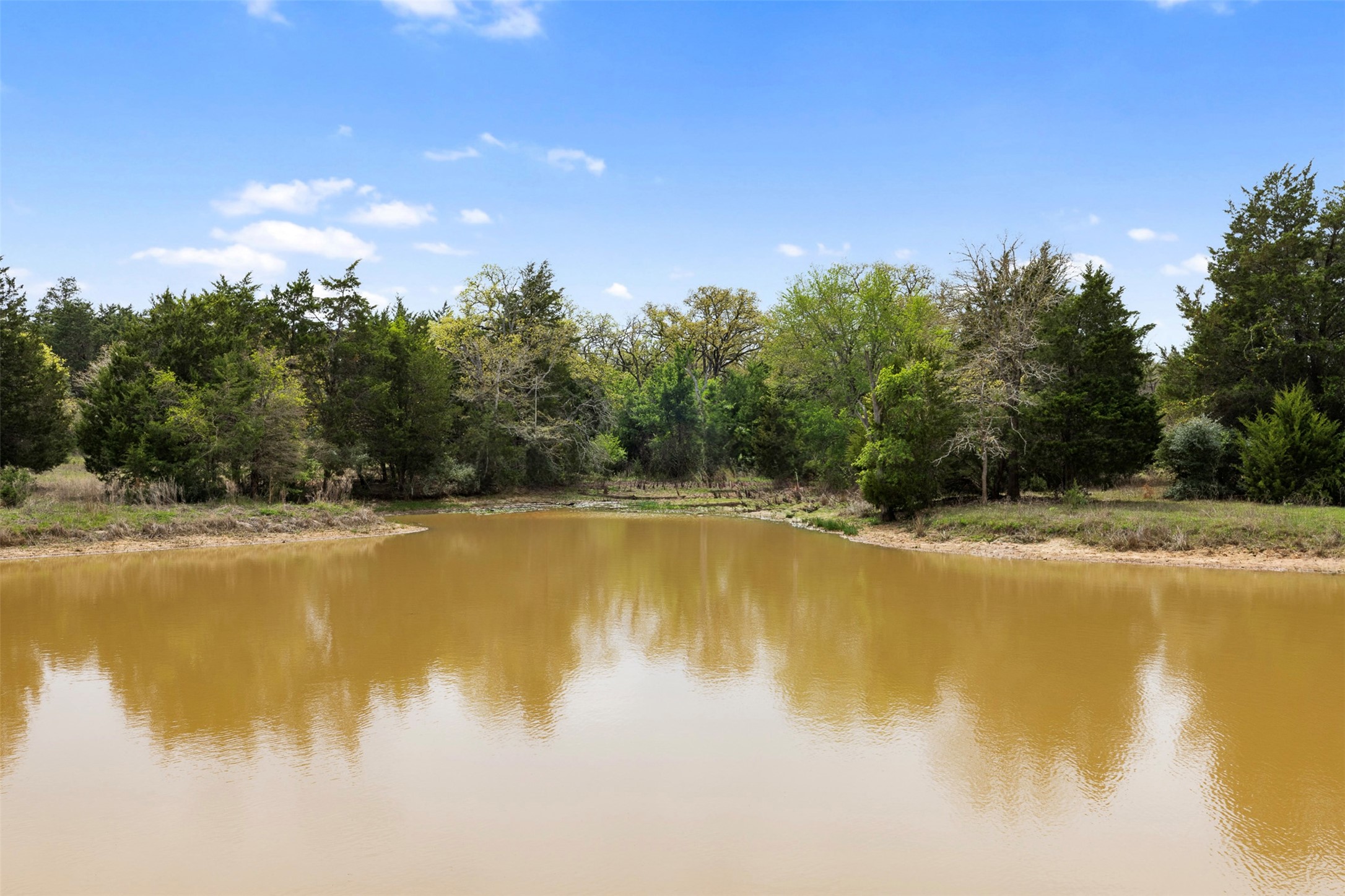 0 County Road 332 Paige, TX 78659 - Photo 5 of 25
