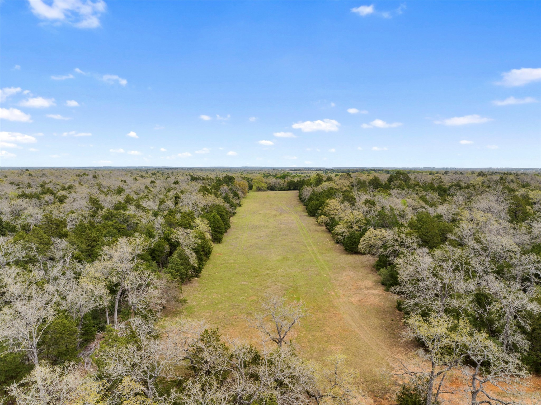 0 County Road 332 Paige, TX 78659 - Photo 8 of 25