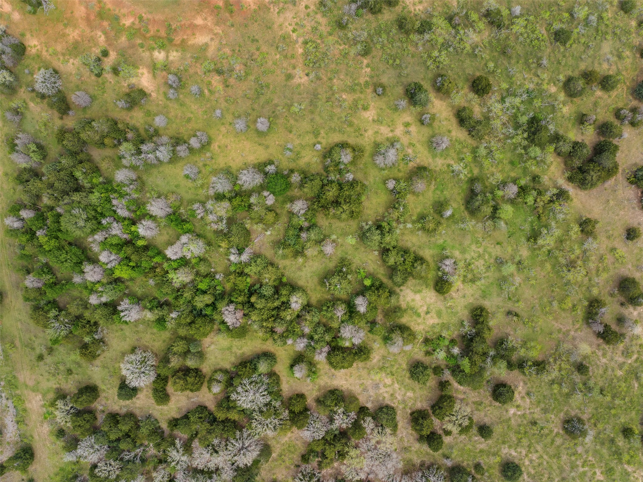 0 County Road 332 Paige, TX 78659 - Photo 9 of 25