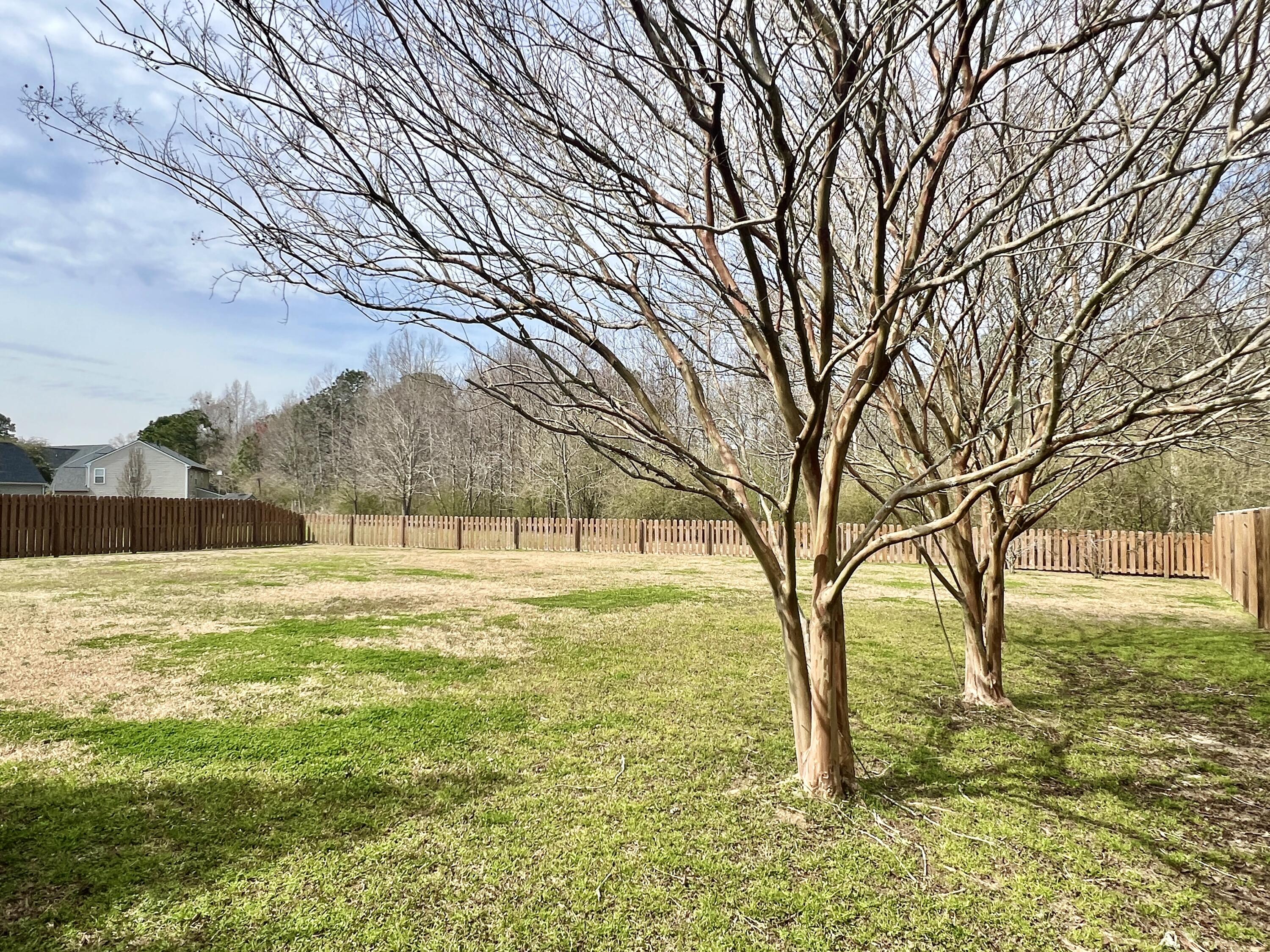 8009 Mckayla Road Summerville, SC 29483 - Photo 20 of 60 IMG_5992