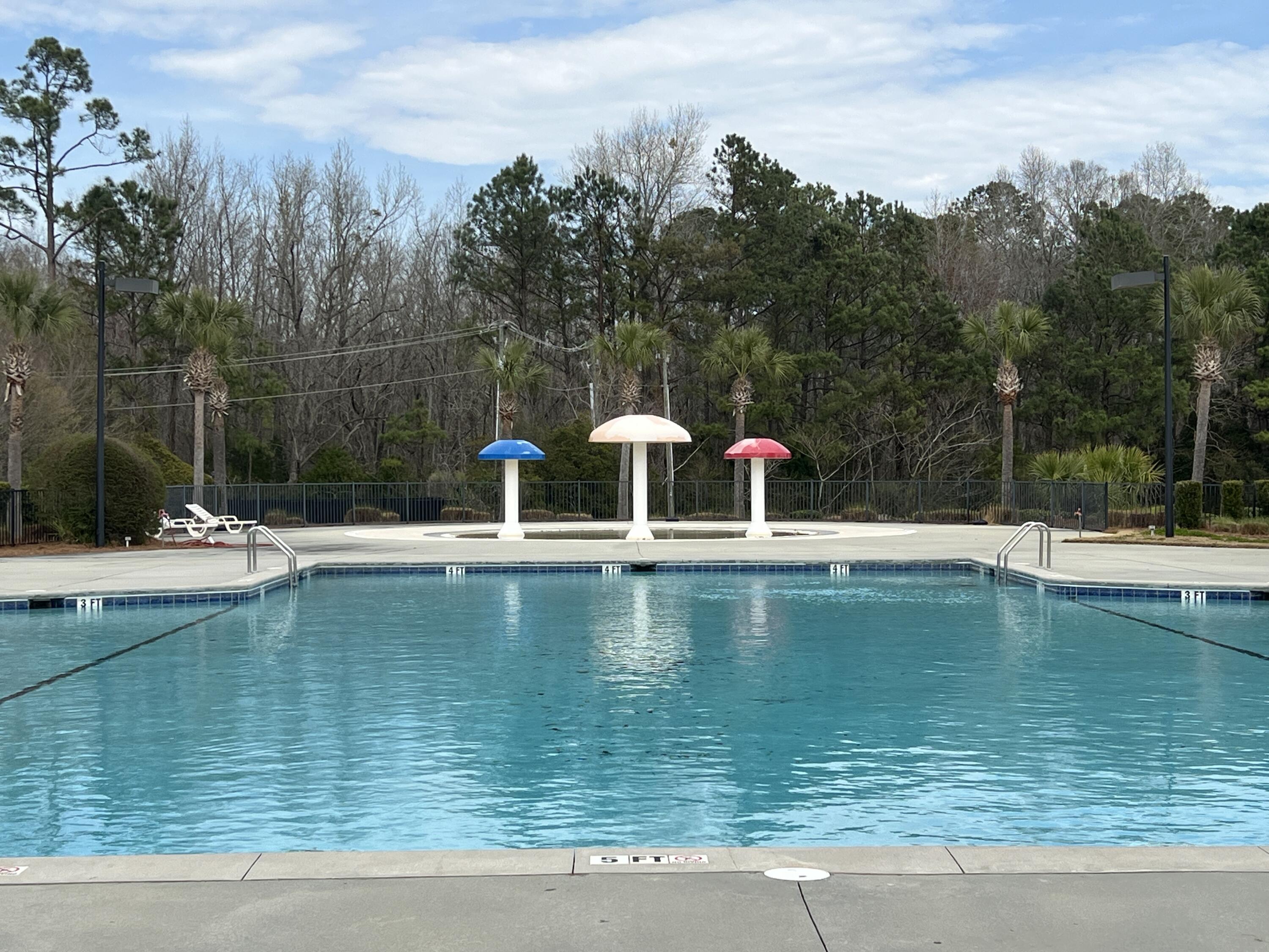 8009 Mckayla Road Summerville, SC 29483 - Photo 60 of 60 IMG_6009