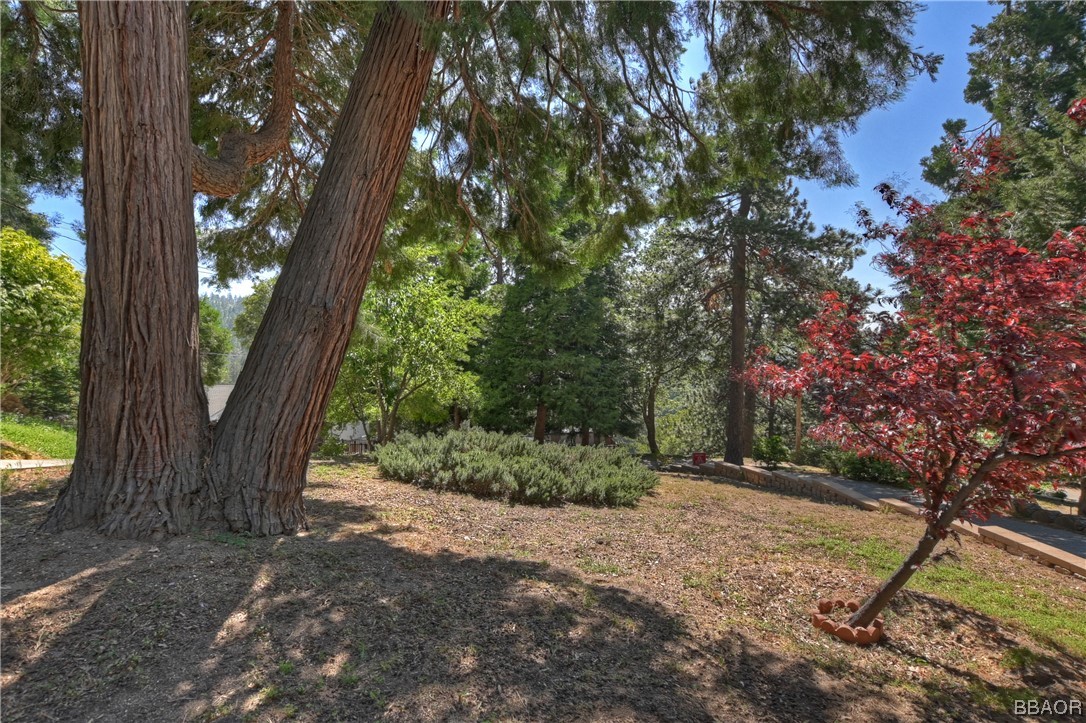 189 Pine Ridge Road Crestline, CA 92325 - Photo 26 of 30 a view of backyard with green space