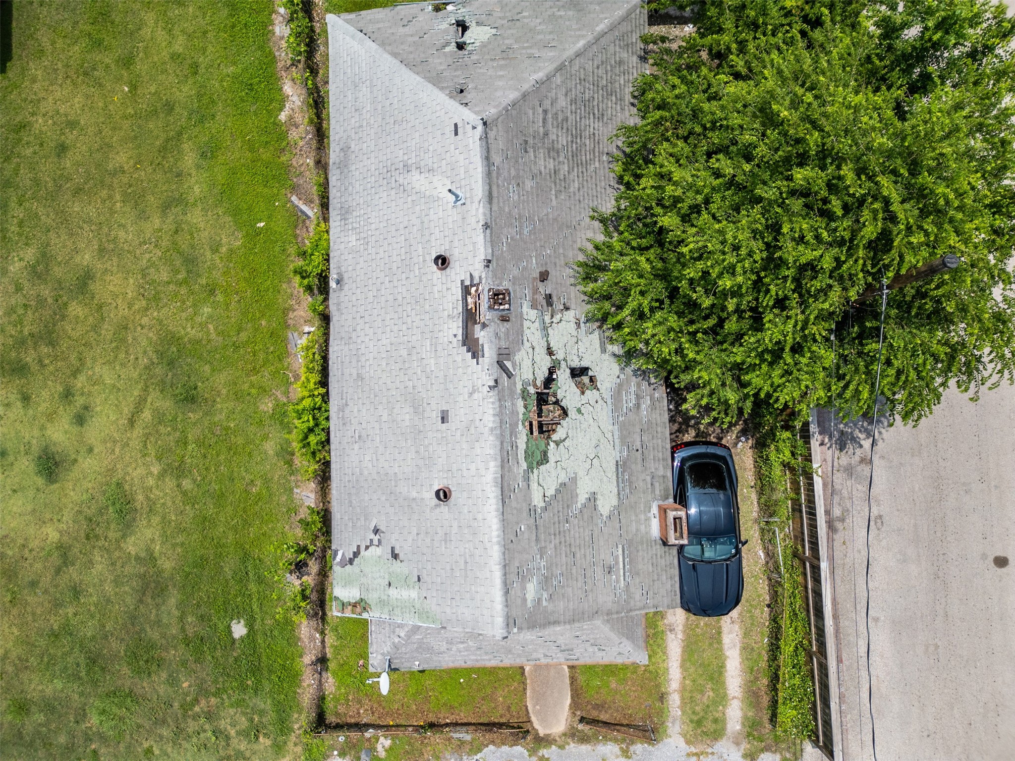 2007 Massie Street Houston, TX 77026 - Photo 6 of 20