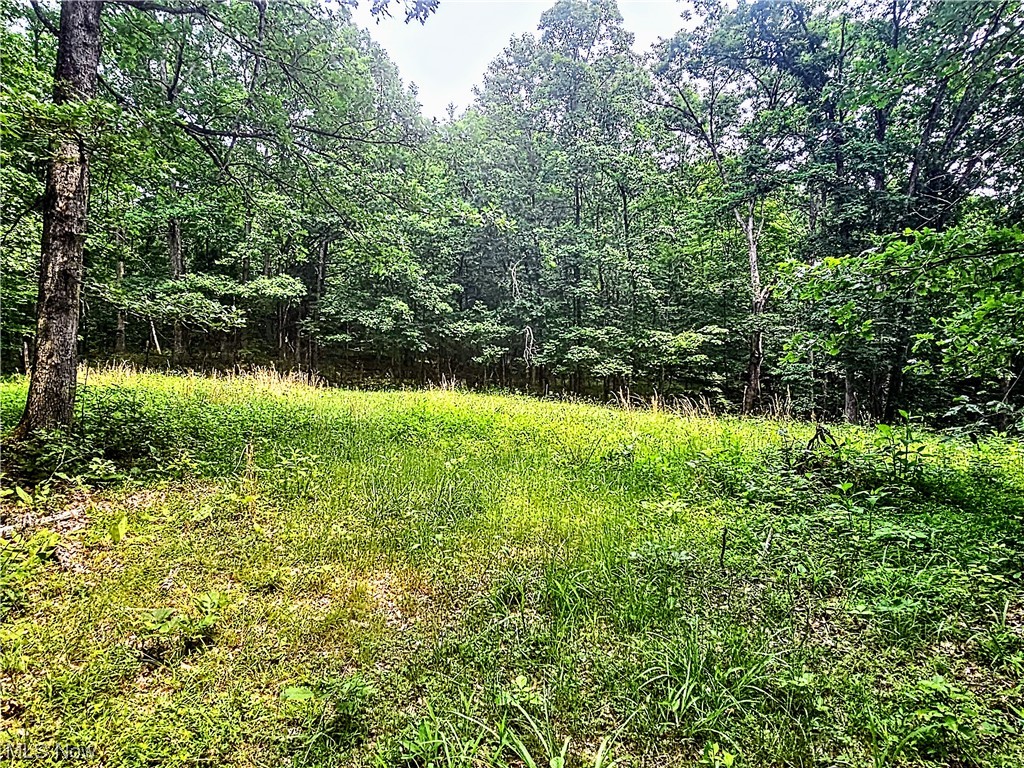 0 Buck Road Leon, WV 25123 - Photo 18 of 25