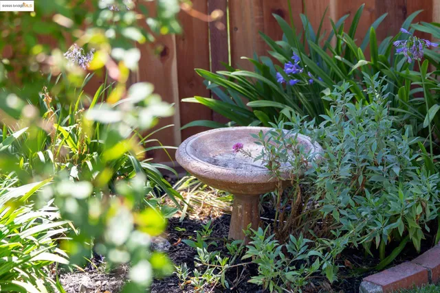 $1,650,000 | 50 Lake Avenue, Piedmont, CA 94611