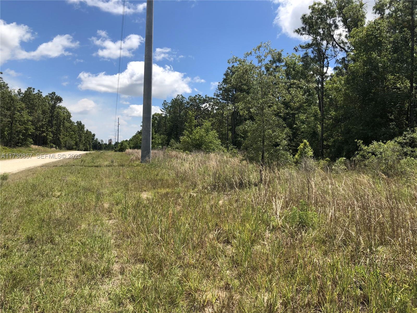 15107 Canvasback Road Brooksville, FL 34614 - Photo 2 of 8 a view of outdoor space and yard