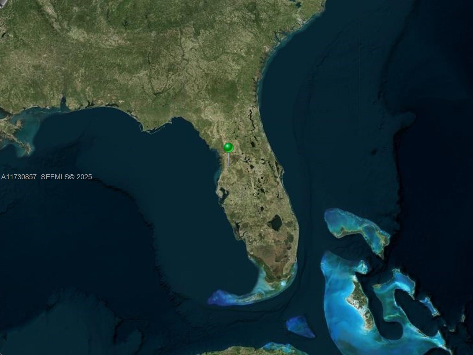 15107 Canvasback Road Brooksville, FL 34614 - Photo 8 of 8 a picture of a tree in a back yard