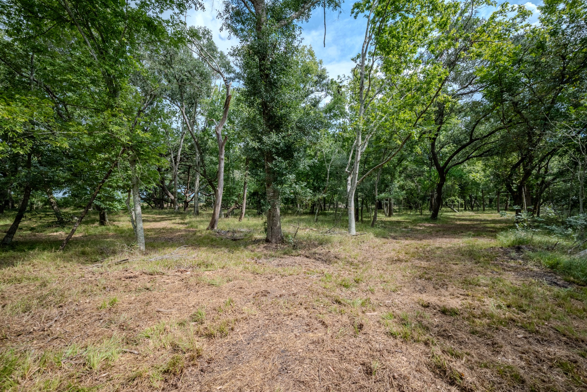 1 Charlie Meyer Road Damon, TX 77430 - Photo 29 of 45 a backyard of a house with lots of green space