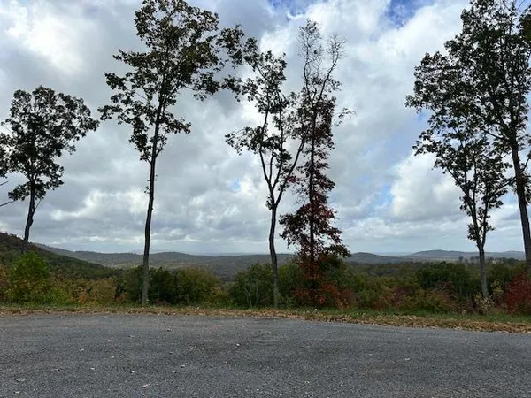 $69,900 | Lot 173 Shagbark Court, Ellijay, GA 30540
