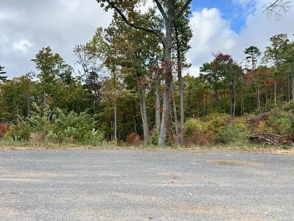 $69,900 | Lot 173 Shagbark Court, Ellijay, GA 30540