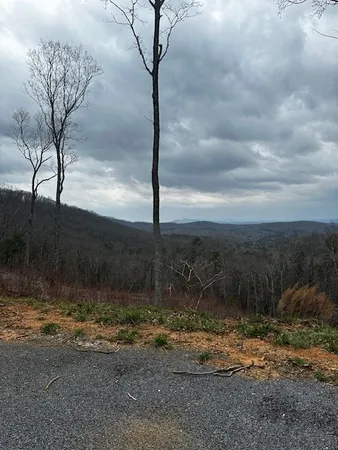 $69,900 | Lot 173 Shagbark Court, Ellijay, GA 30540