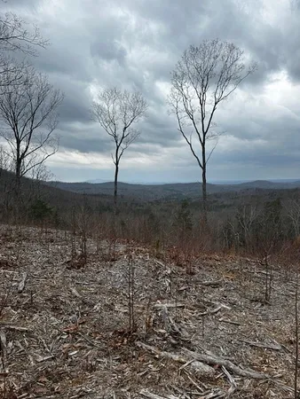 $69,900 | Lot 173 Shagbark Court, Ellijay, GA 30540