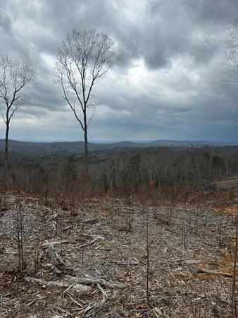 $69,900 | Lot 173 Shagbark Court, Ellijay, GA 30540