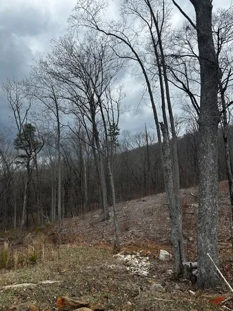 $69,900 | Lot 173 Shagbark Court, Ellijay, GA 30540