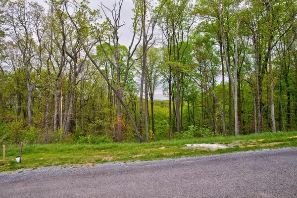 $69,900 | Lot 173 Shagbark Court, Ellijay, GA 30540