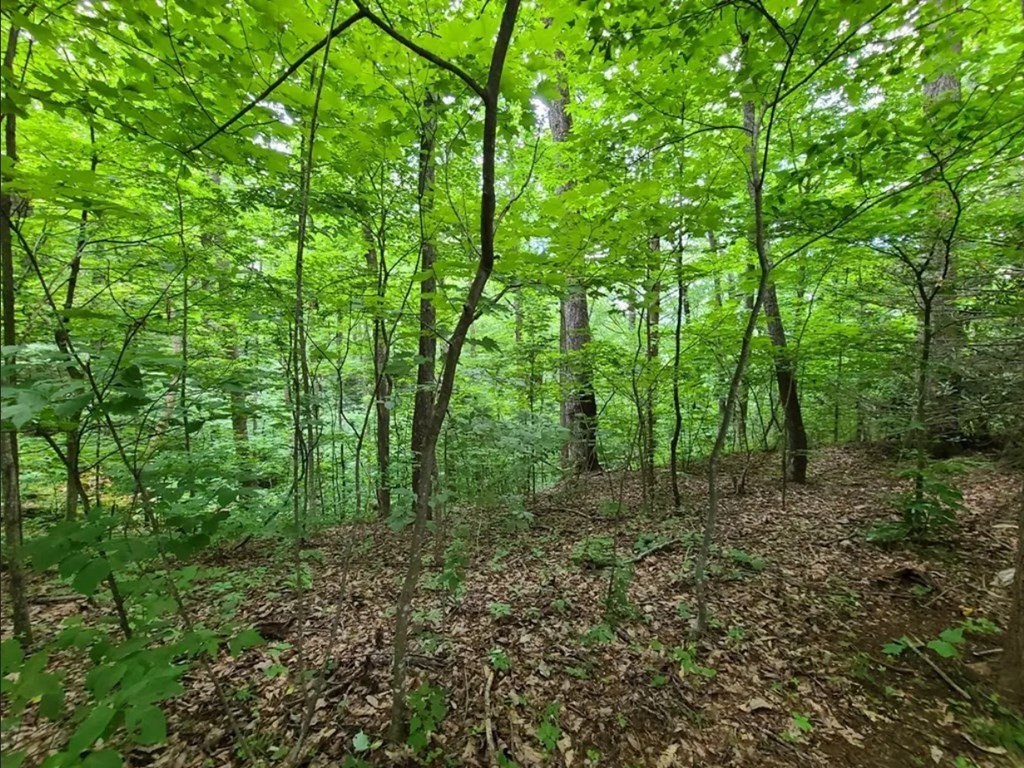 28 Sonshine Ridge Road Cosby, TN 37722 - Photo 6 of 21 Gallery Image 6