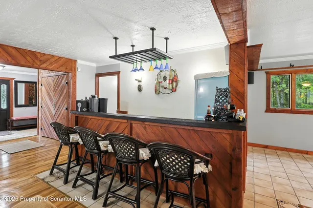 a view of a two chairs in the backyard