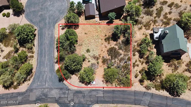 a view of a garden with potted plants