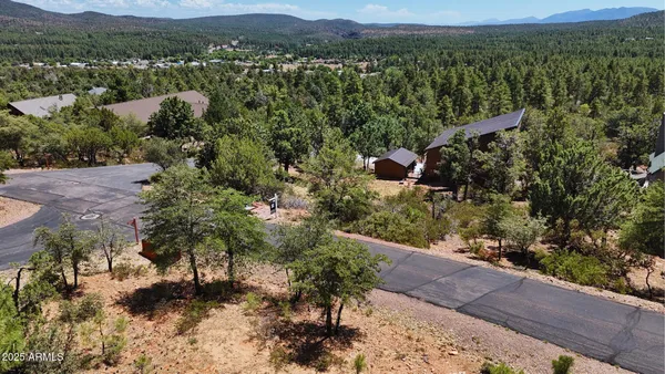a view of a lot of trees and mountains
