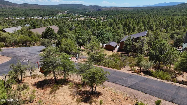a view of a lot of trees and mountains