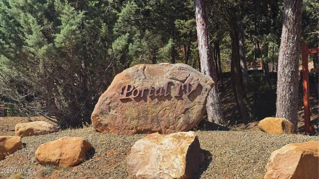 a view of a backyard of the house