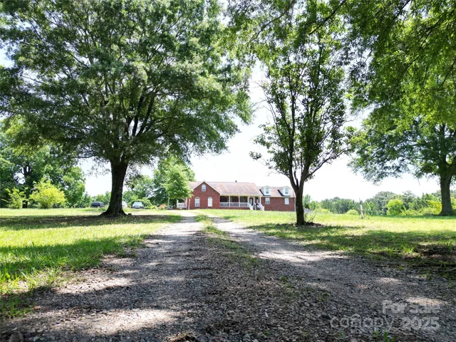 a view of a park with large trees