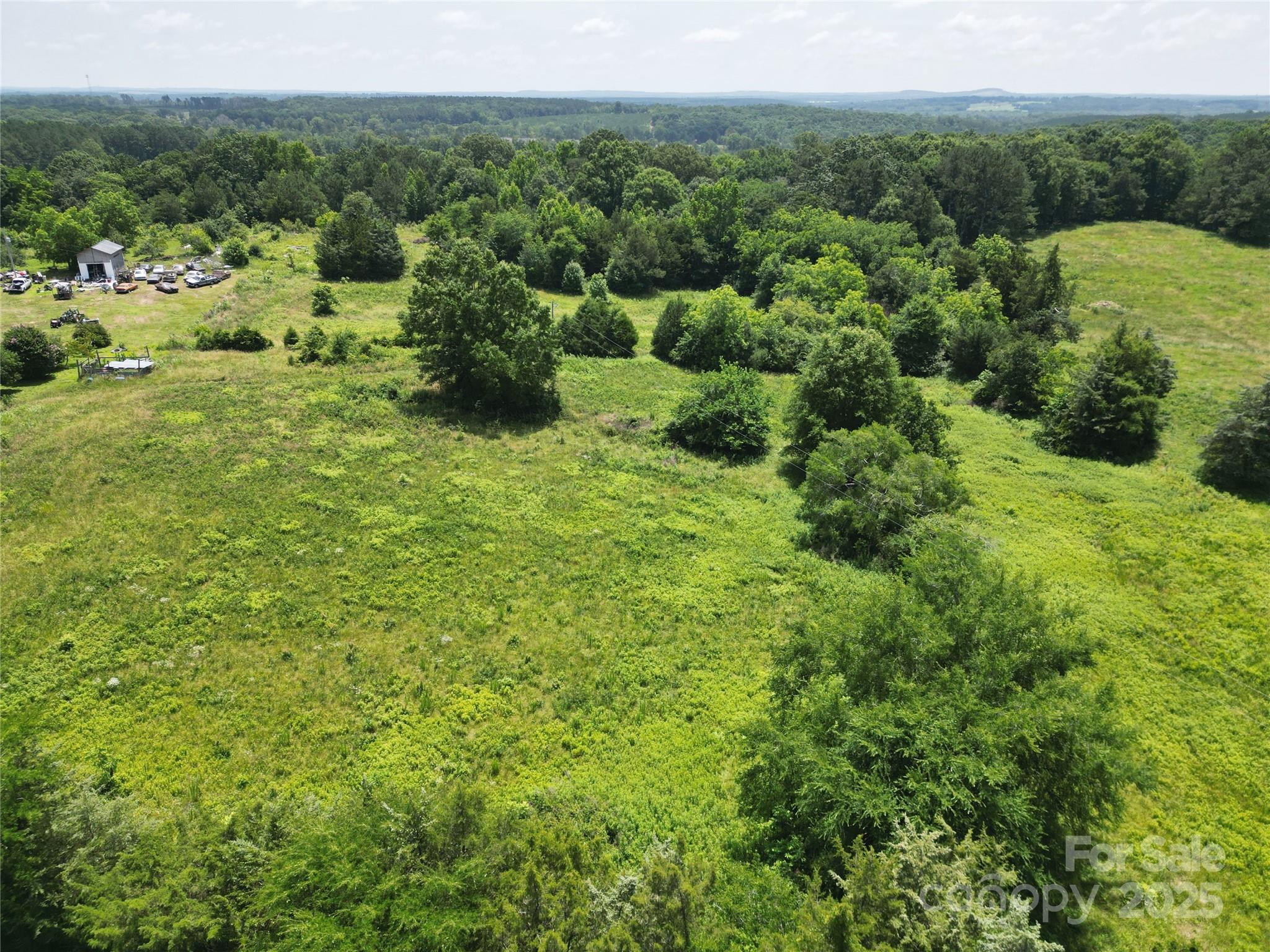 843 Upper White Store Road Peachland, NC 28133 - Photo 46 of 48 a view of a green field with lots of bushes