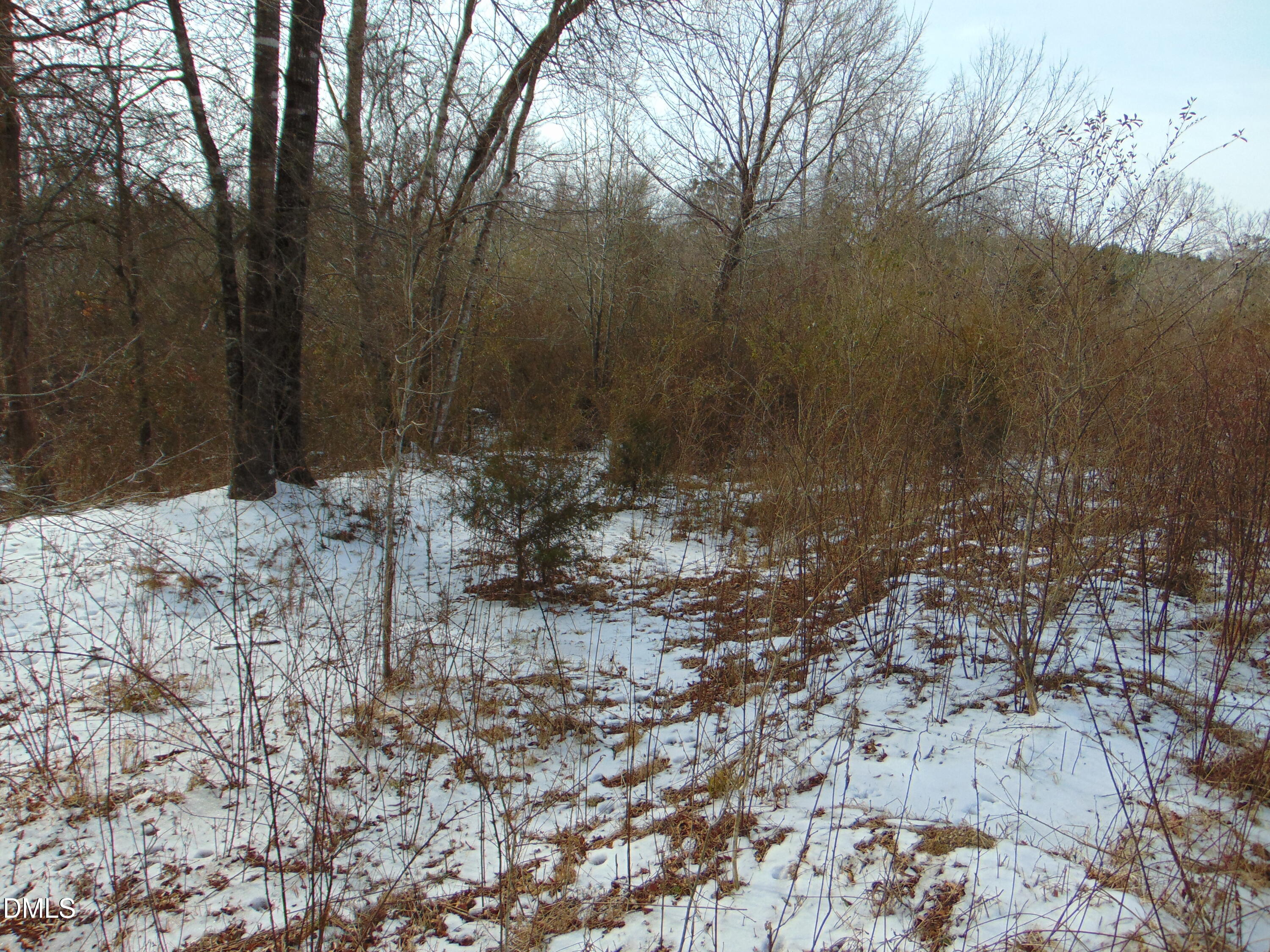 0 Oakley Road Cedar Grove, NC 27231 - Photo 25 of 31 DSC01349