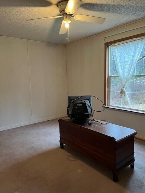 377 Elm Hill Road South Paris, ME 04281 - Photo 15 of 25 DB 2