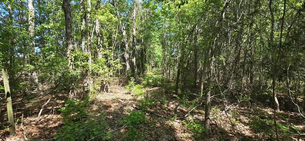 800 Grady Garner Road Slocomb, AL 36375 - Photo 21 of 49