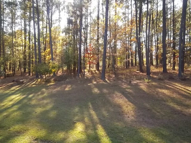 236 Plantation Road Gray, GA 31032 - Photo 11 of 26 a view of road and trees