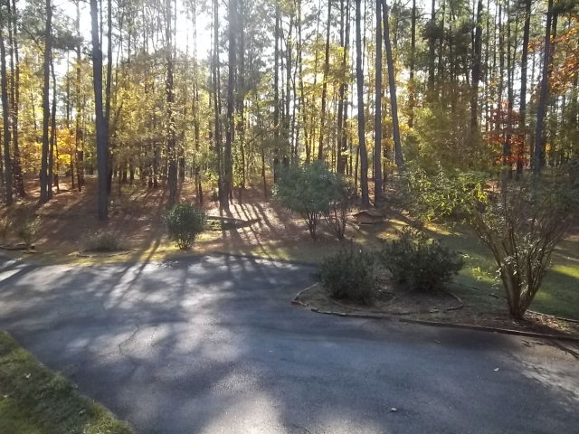 236 Plantation Road Gray, GA 31032 - Photo 14 of 26 a view of forest