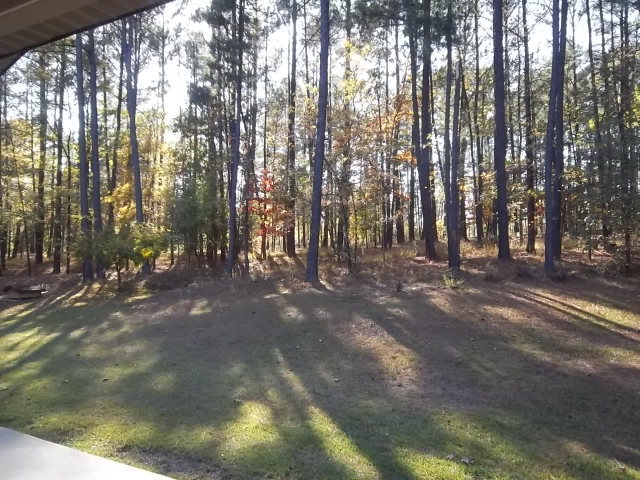 236 Plantation Road Gray, GA 31032 - Photo 20 of 26 a view of forest with trees
