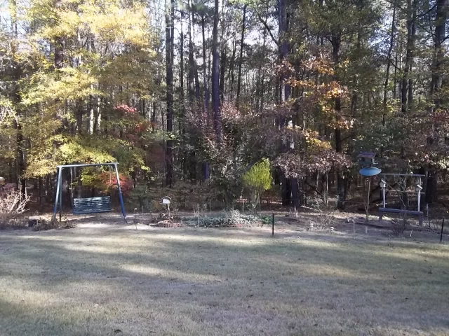 236 Plantation Road Gray, GA 31032 - Photo 22 of 26 a view of road with trees