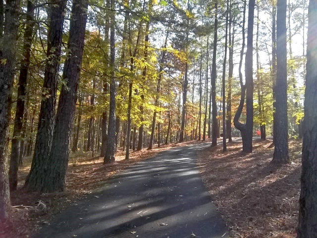 236 Plantation Road Gray, GA 31032 - Photo 4 of 26 a view of outdoor space with trees