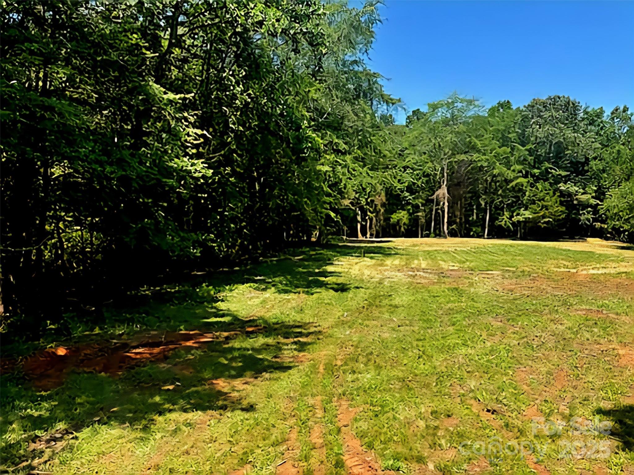 1788 Shearers Road Davidson, NC 28036 - Photo 5 of 19 Gallery Image 5