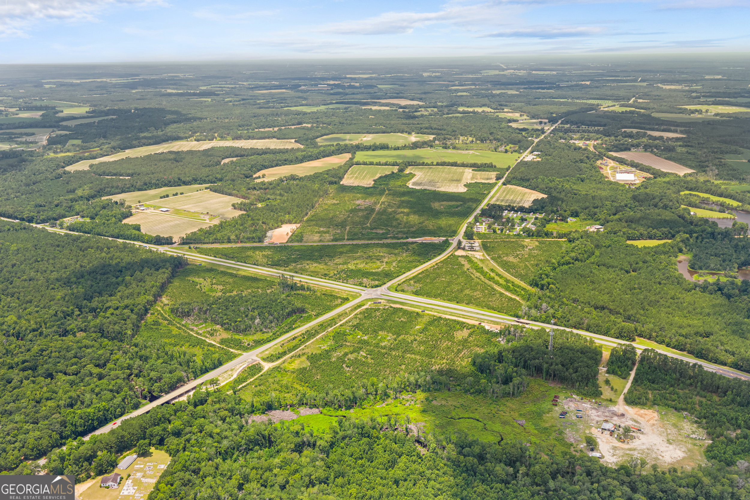 0 Highway 46 Register, GA 30452 - Photo 5 of 6