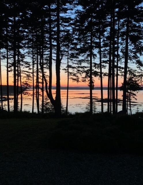 635 Paul Bunyan Road Corea, ME 04624 - Photo 31 of 33 IMG_6153