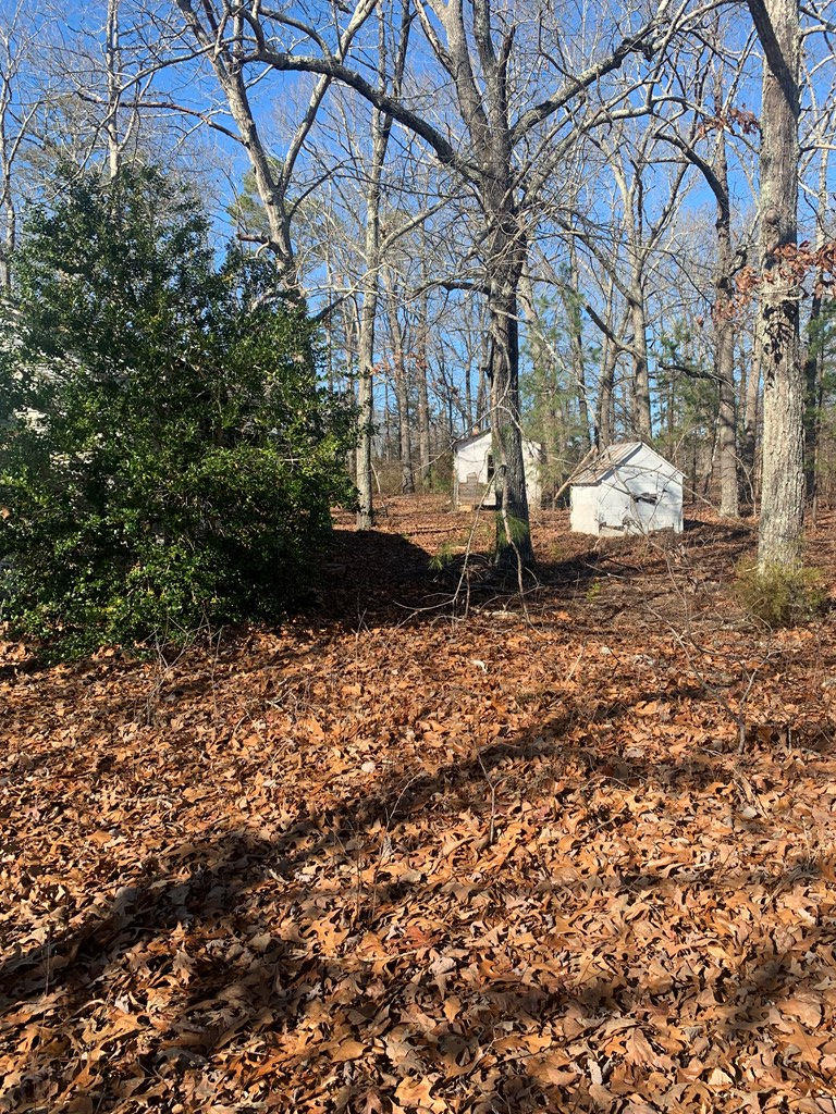 135 County Rd S-01-396 Honea Path, SC 29654 - Photo 4 of 16