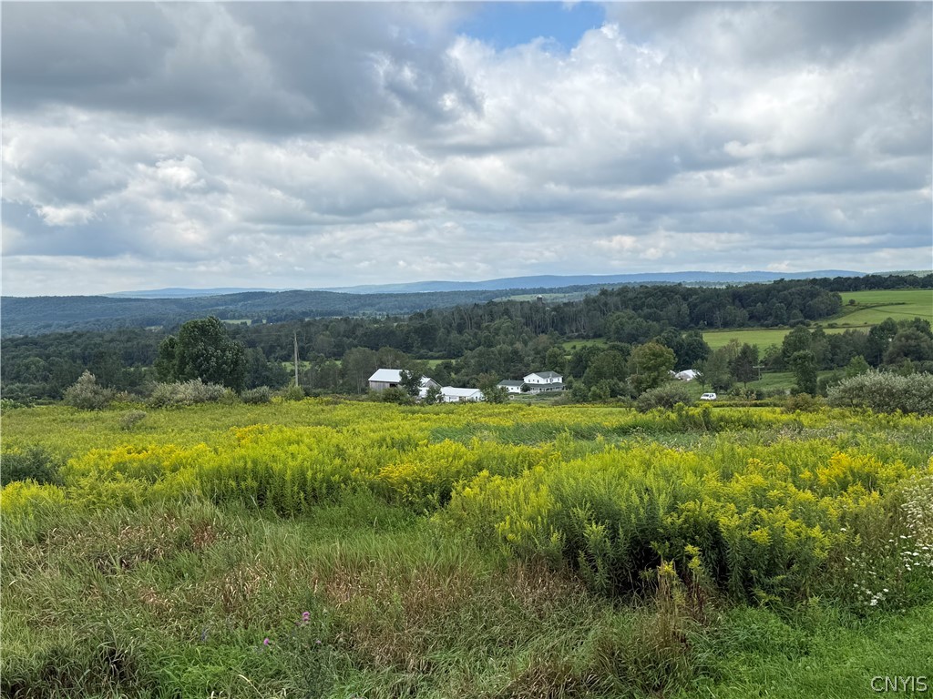 2755 Center Road Freetown, NY 13101 - Photo 32 of 41 Gallery Image 32