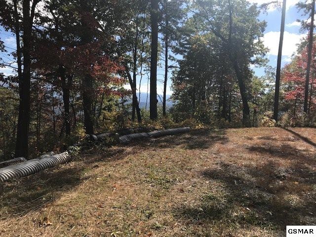 26 Bluff Mountain Road Sevierville, TN 37876 - Photo 10 of 11