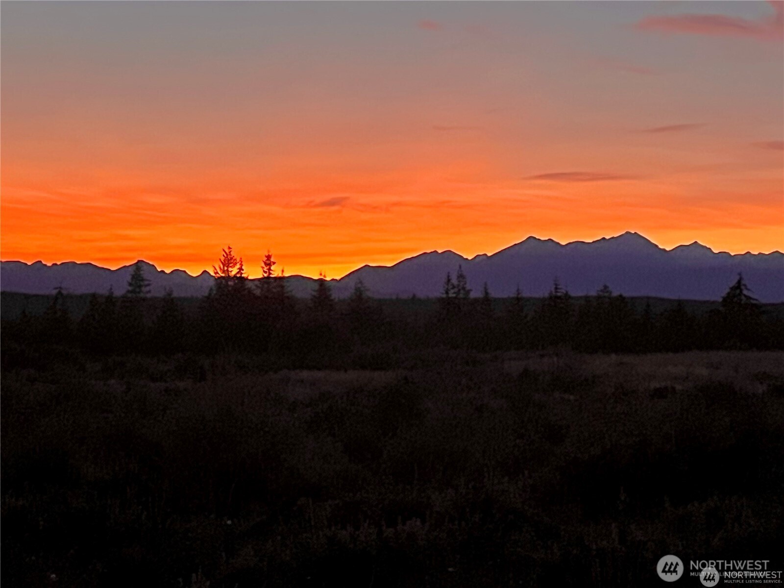 381 East Benson Ridge Road Grapeview, WA 98546 - Photo 40 of 40
