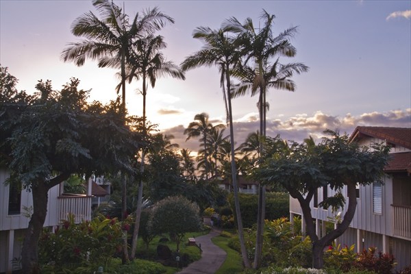 1870 Hoone Road, Unit 800 Koloa, HI 96756 - Photo 13 of 19 Gallery Image 13