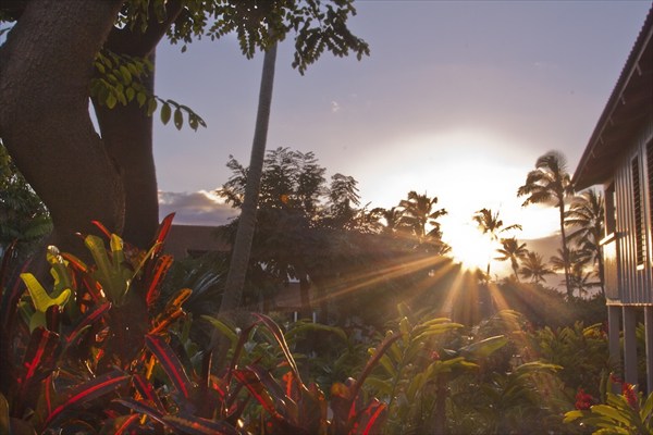 1870 Hoone Road, Unit 800 Koloa, HI 96756 - Photo 14 of 19 Gallery Image 14
