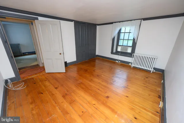 a view of a big yard with plants and large trees