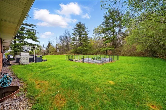 a view of a park with large trees