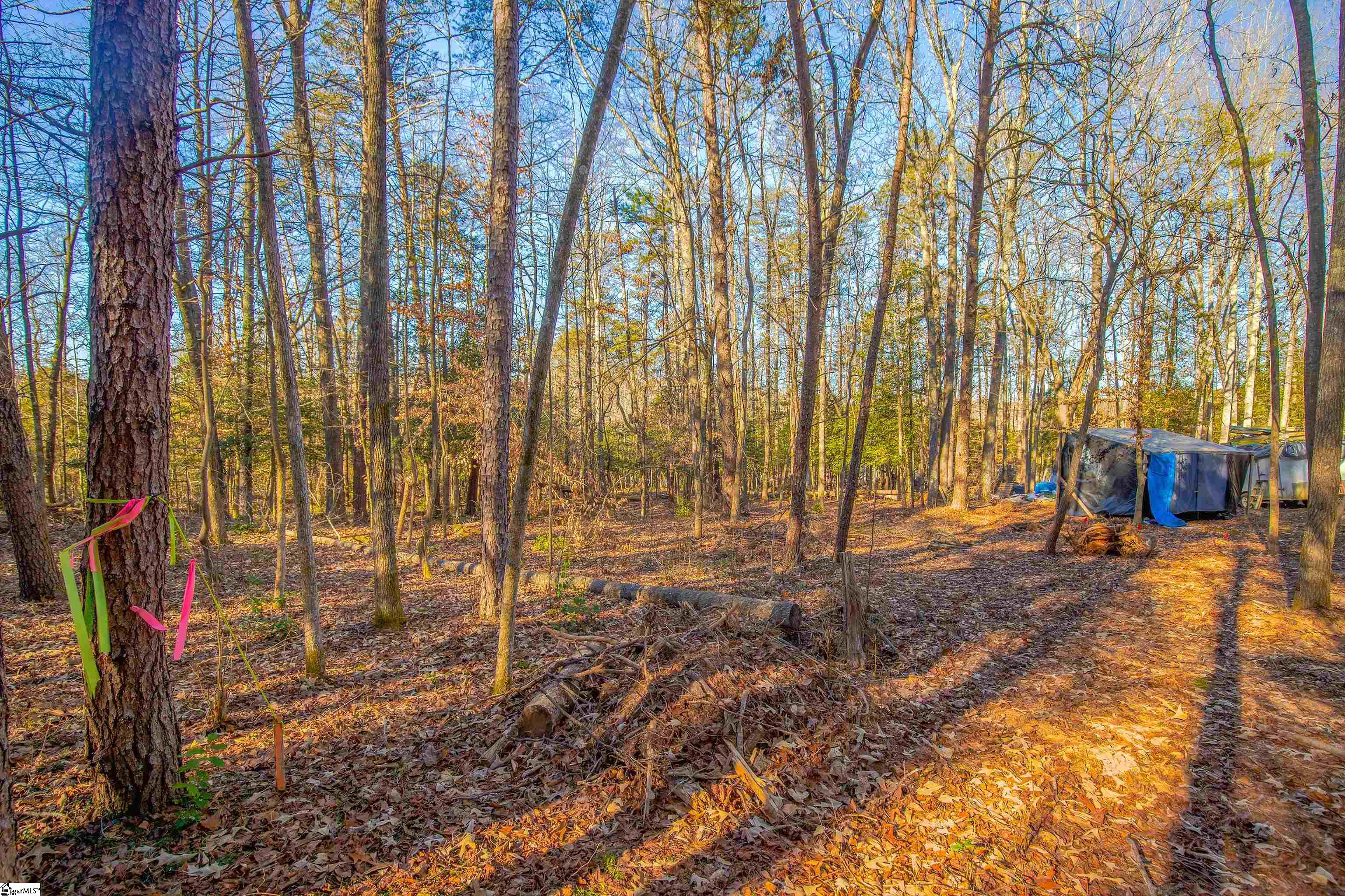 1009 Center Road Taylors, SC 29687 - Photo 2 of 15 Gallery Image 2
