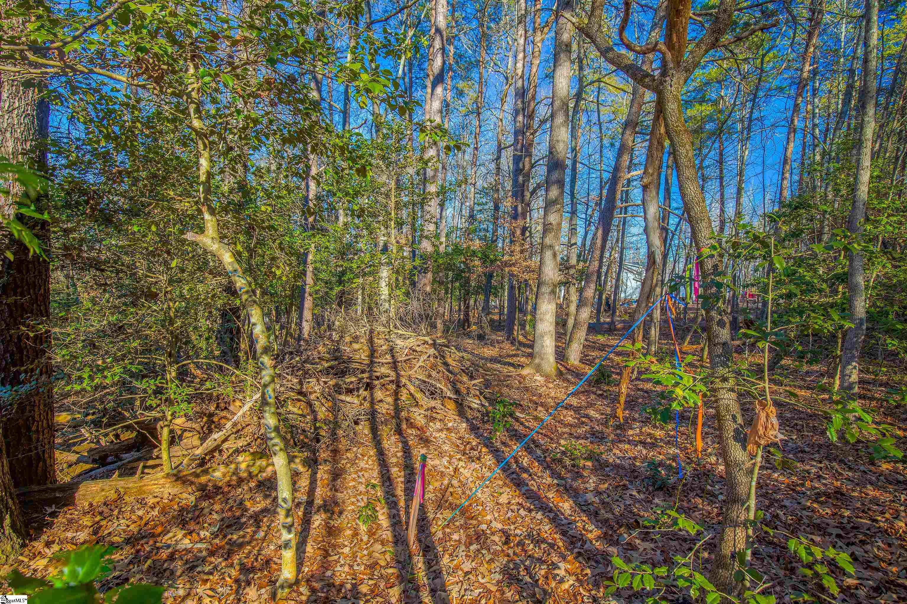1009 Center Road Taylors, SC 29687 - Photo 3 of 15 Gallery Image 3